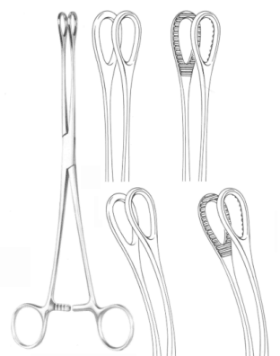  Foerster Forceps